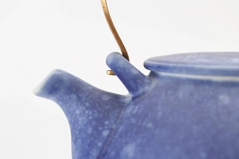 ARITA JAPANESE PORCELAIN TEAPOT – RISOGAMA COSMOS BLAST LARGE KYUSU POTTERY GIFT