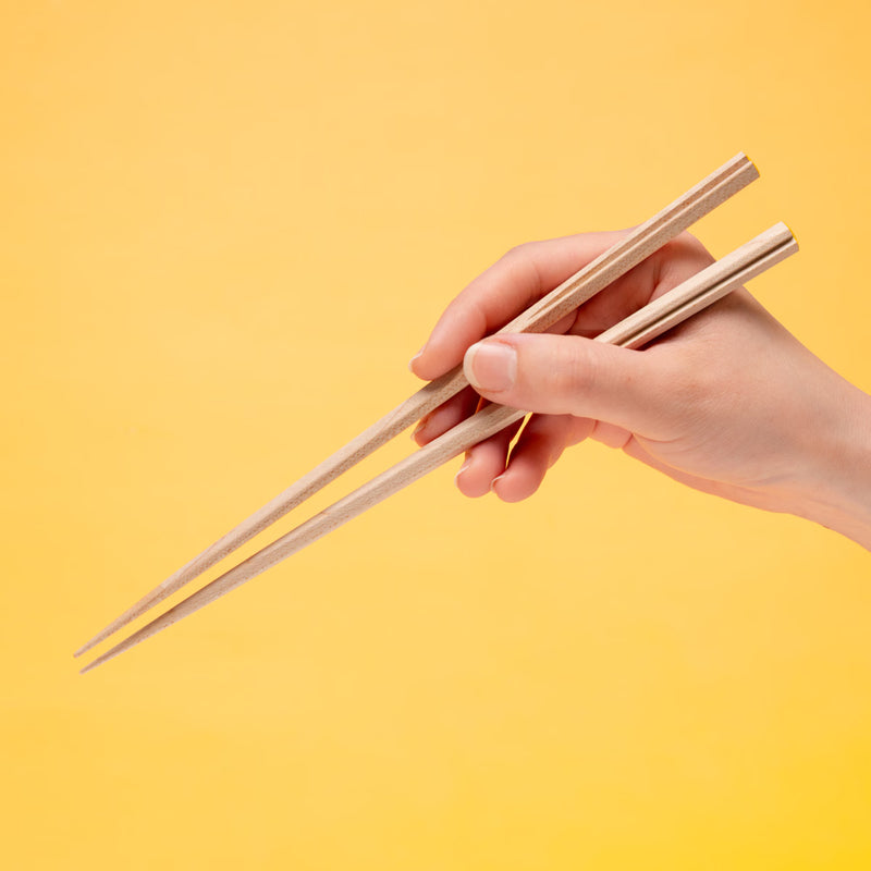 WAKASA-NURI GOROGORONYAN CAT CHOPSTICKS
