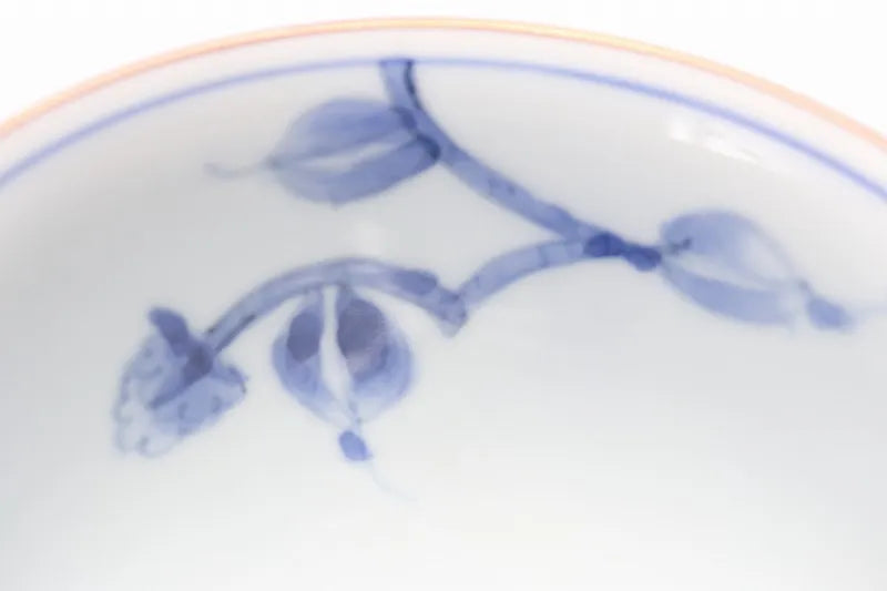 ARITA WARE COFFEE CUP & SAUCER “CAMELLIA”