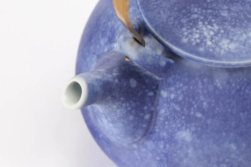 ARITA JAPANESE PORCELAIN TEAPOT – RISOGAMA COSMOS BLAST LARGE KYUSU POTTERY GIFT