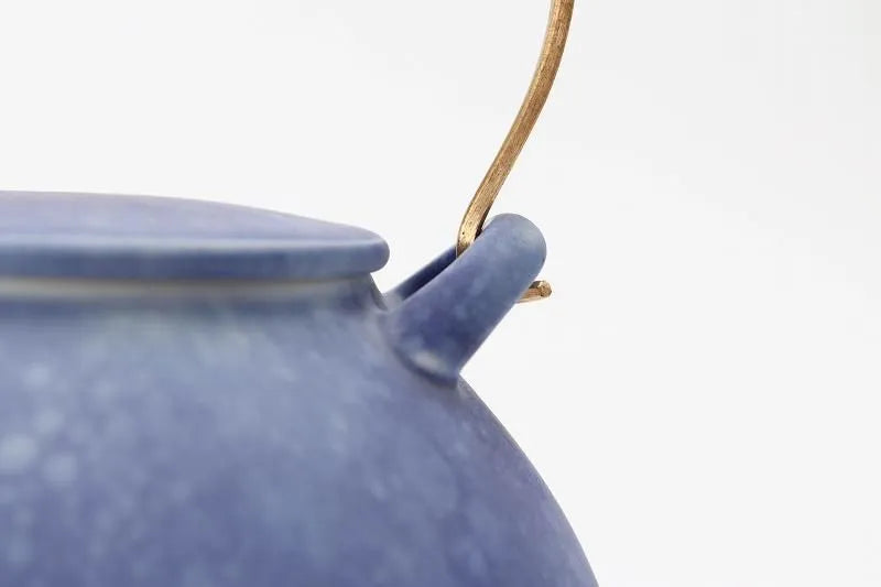 ARITA JAPANESE PORCELAIN TEAPOT – RISOGAMA COSMOS BLAST LARGE KYUSU POTTERY GIFT