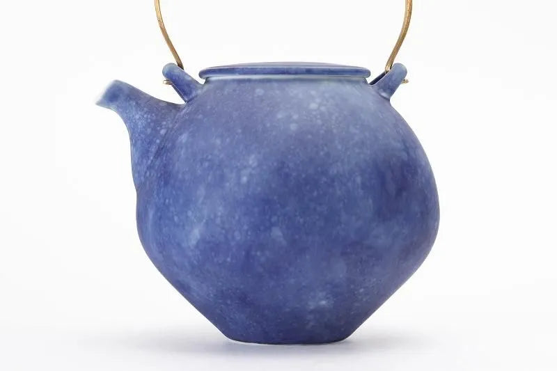 ARITA JAPANESE PORCELAIN TEAPOT – RISOGAMA COSMOS BLAST LARGE KYUSU POTTERY GIFT