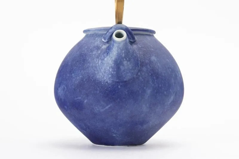 ARITA JAPANESE PORCELAIN TEAPOT – RISOGAMA COSMOS BLAST LARGE KYUSU POTTERY GIFT