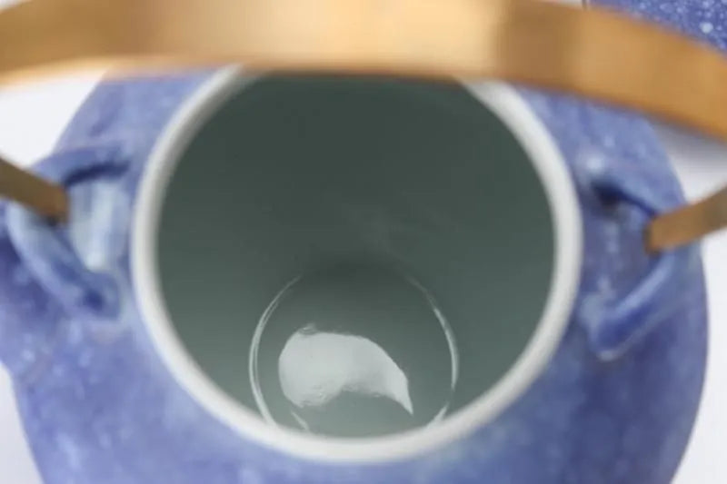 ARITA JAPANESE PORCELAIN TEAPOT – RISOGAMA COSMOS BLAST LARGE KYUSU POTTERY GIFT