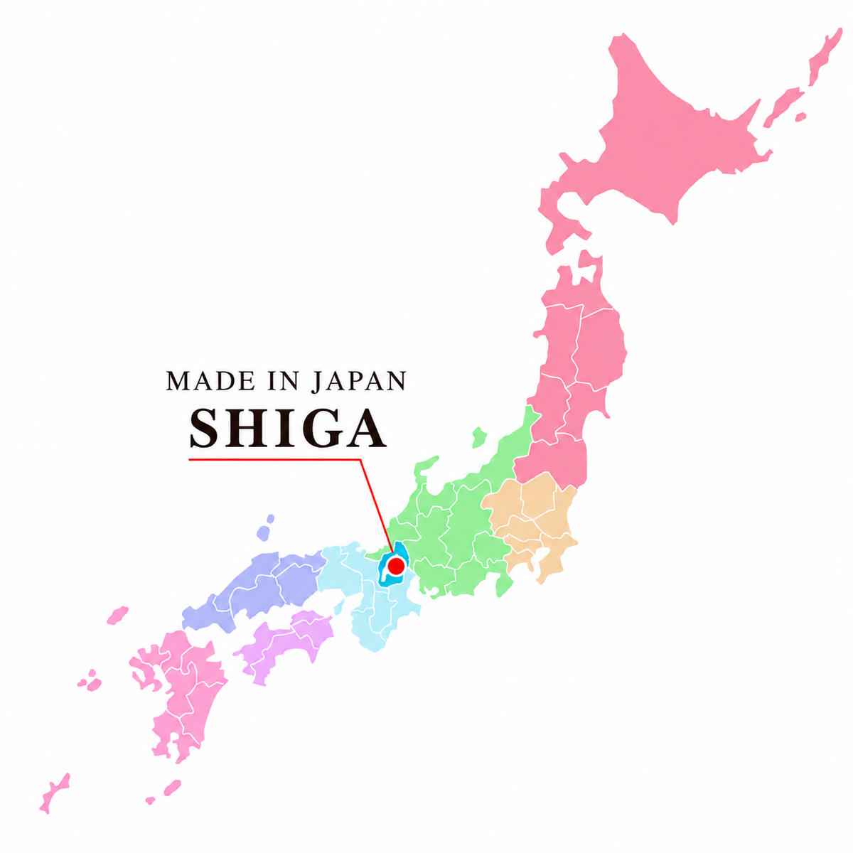 Image with text section